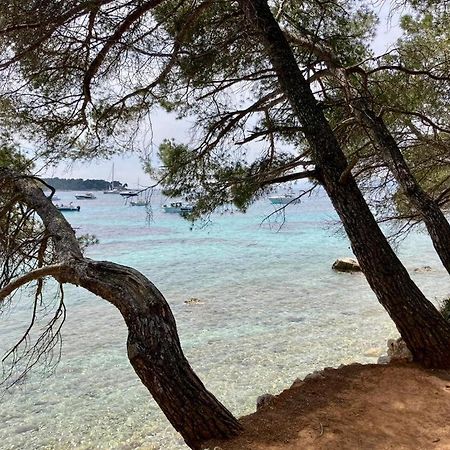 Appartement Centre Croisette Emplacement Exceptionnel Cannes Ngoại thất bức ảnh