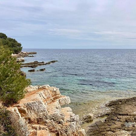 Appartement Centre Croisette Emplacement Exceptionnel Cannes Ngoại thất bức ảnh