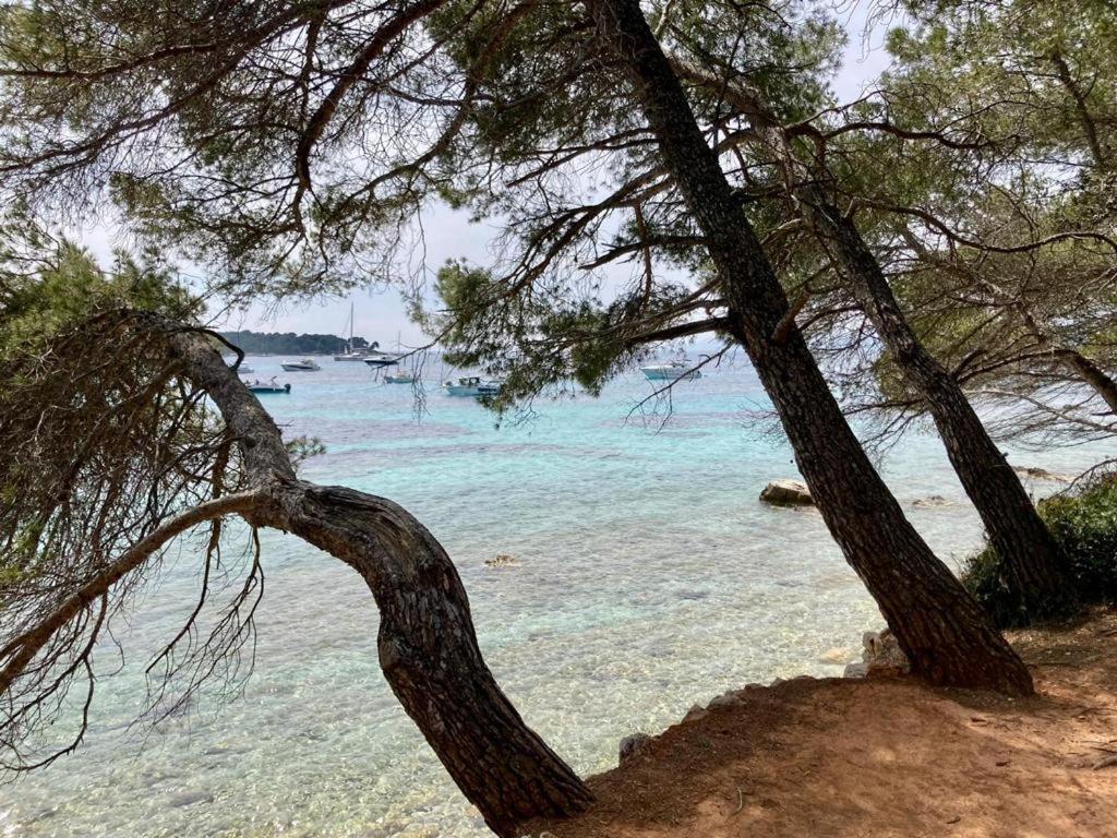 Appartement Centre Croisette Emplacement Exceptionnel Cannes Ngoại thất bức ảnh
