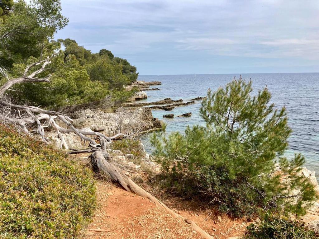 Appartement Centre Croisette Emplacement Exceptionnel Cannes Ngoại thất bức ảnh