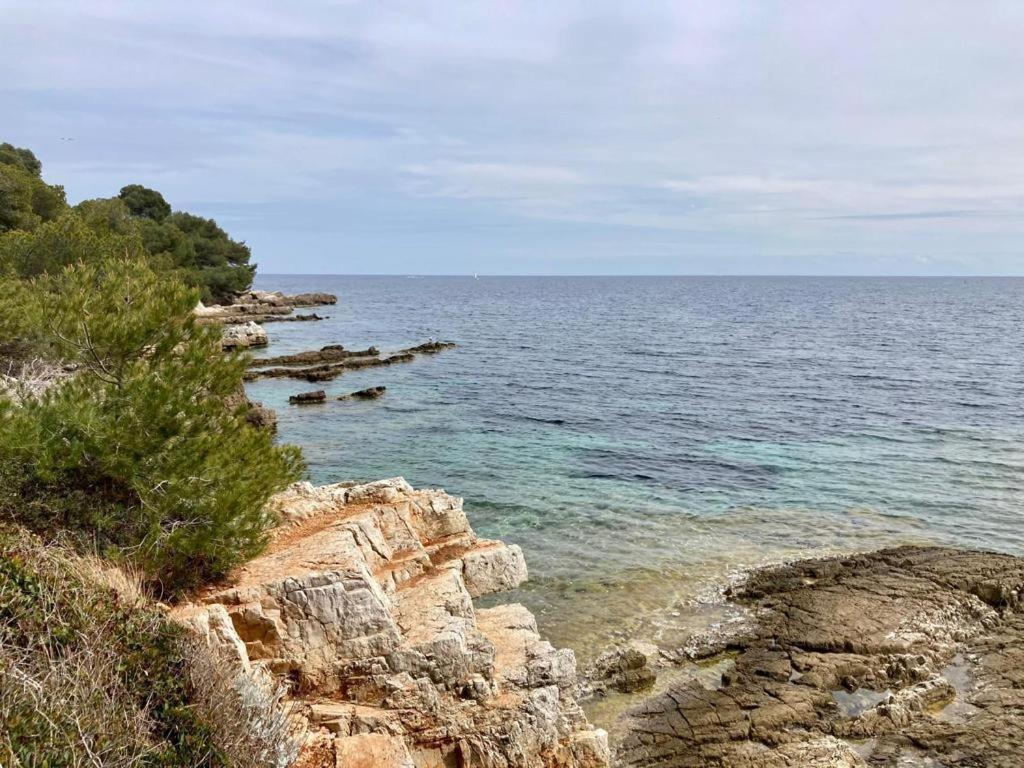 Appartement Centre Croisette Emplacement Exceptionnel Cannes Ngoại thất bức ảnh